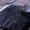 inscription of siglum KRS 1687