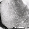 inscription of siglum KRS 1769