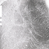 inscription of siglum KRS 1769