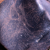 inscription of siglum KRS 1769