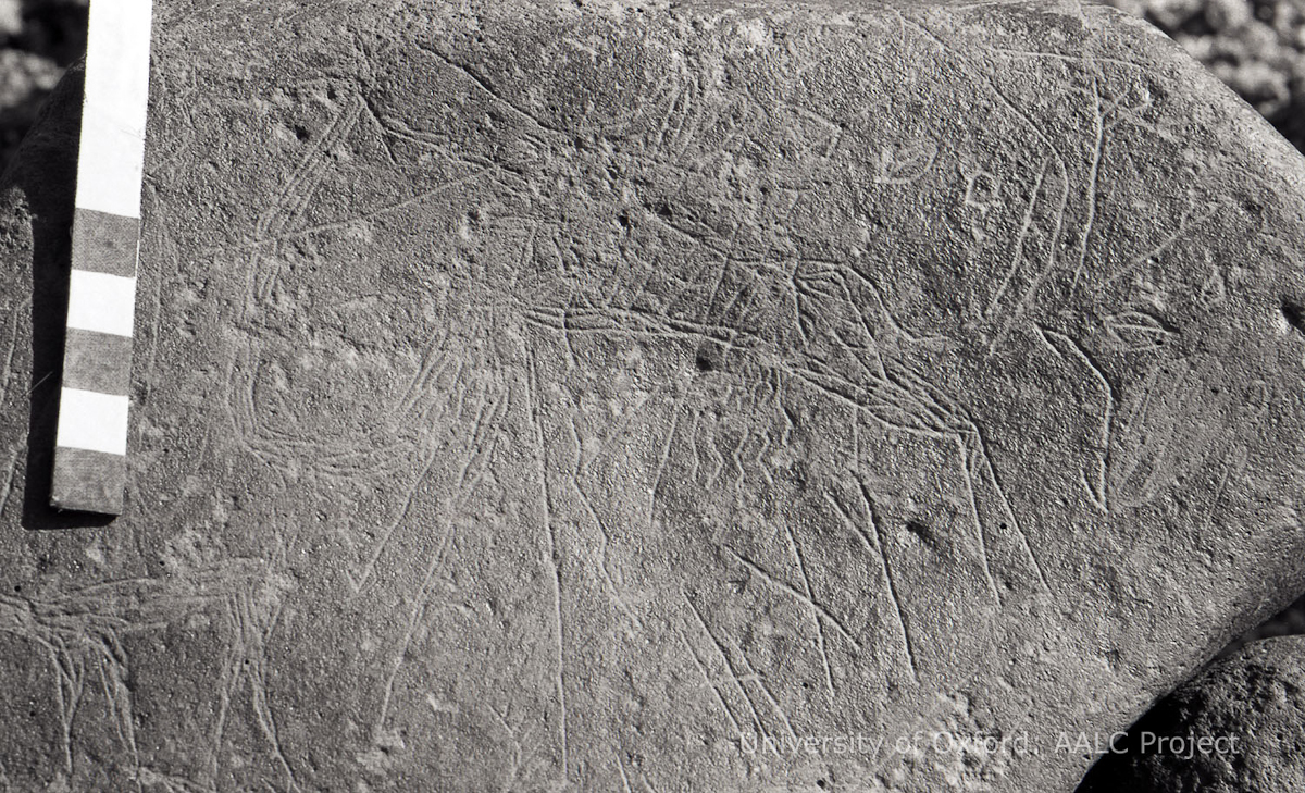 inscription of siglum KRS 1772