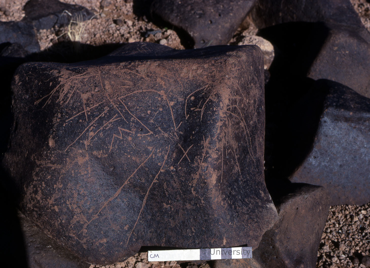 inscription of siglum KRS 1772