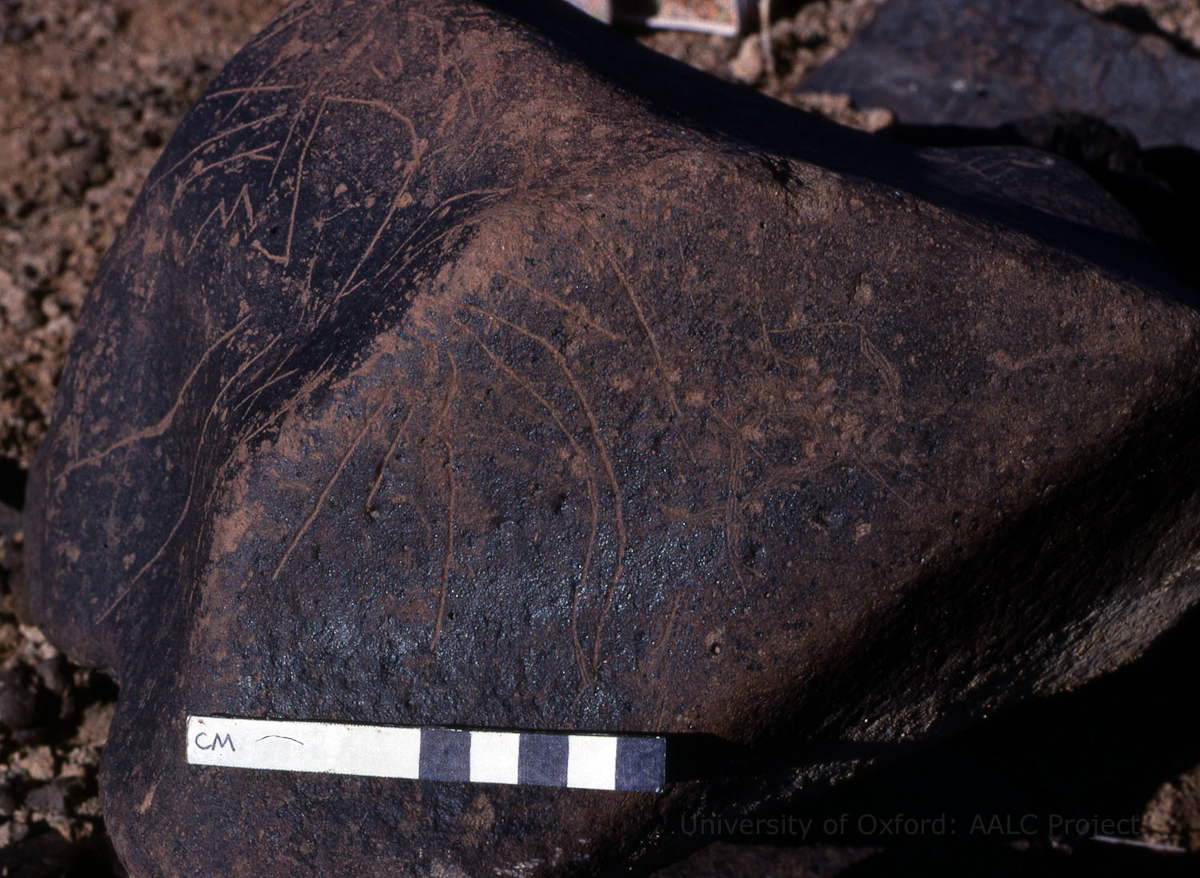 inscription of siglum KRS 1772