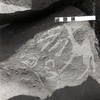 inscription of siglum KRS 1781