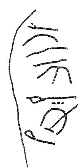 inscription of siglum KRS 181