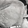 inscription of siglum KRS 1829