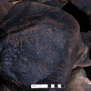 inscription of siglum KRS 1829