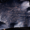 inscription of siglum KRS 1845