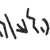 inscription of siglum KRS 1847