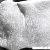 inscription of siglum KRS 1852