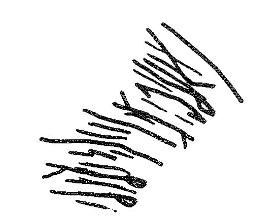 inscription of siglum KRS 1953