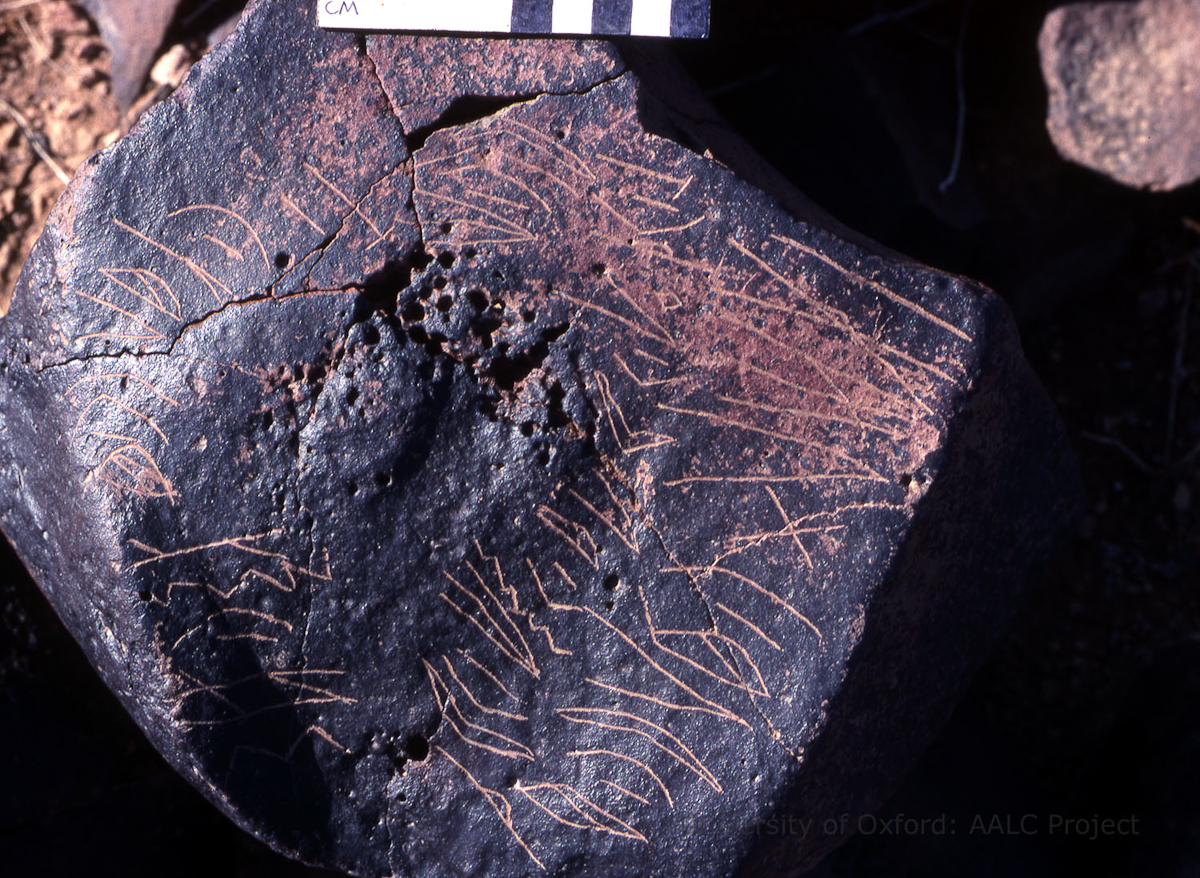 inscription of siglum KRS 1981