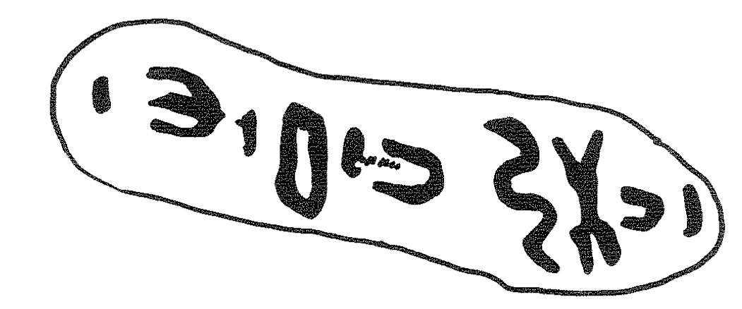 inscription of siglum KRS 2021