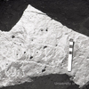 inscription of siglum KRS 2074