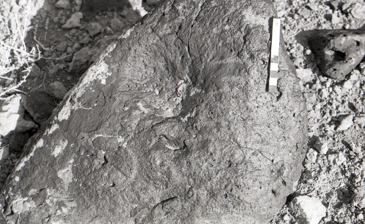 inscription of siglum KRS 2112