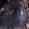 inscription of siglum KRS 2112