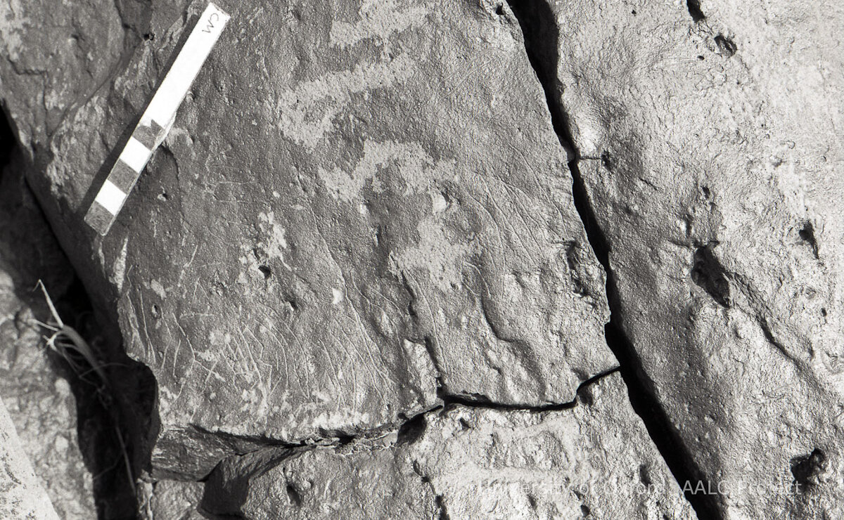inscription of siglum KRS 2184