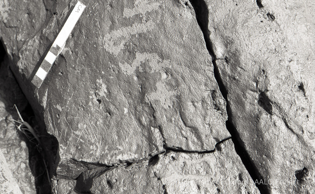 inscription of siglum KRS 2184