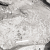 inscription of siglum KRS 2187