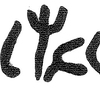 inscription of siglum KRS 2192