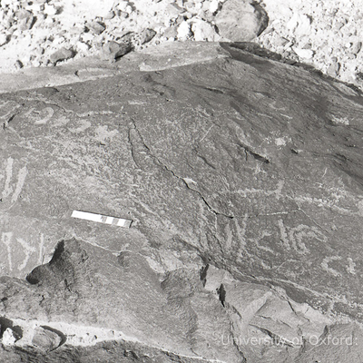 inscription of siglum KRS 2218.1