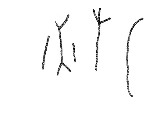 inscription of siglum KRS 2233