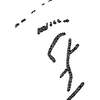 inscription of siglum KRS 2290