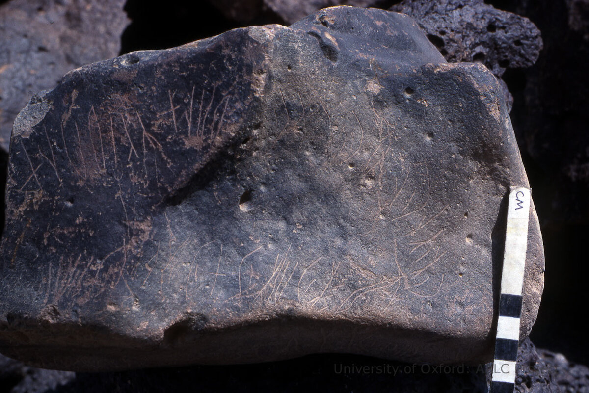 inscription of siglum KRS 2306