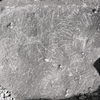 inscription of siglum KRS 2322