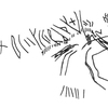 inscription of siglum KRS 2385