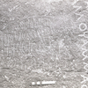 inscription of siglum KRS 2420