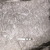 inscription of siglum KRS 2421