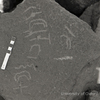 inscription of siglum KRS 2444