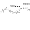 inscription of siglum KRS 2453