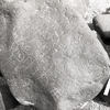 inscription of siglum KRS 2521