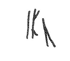 inscription of siglum KRS 2570