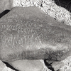 inscription of siglum KRS 261