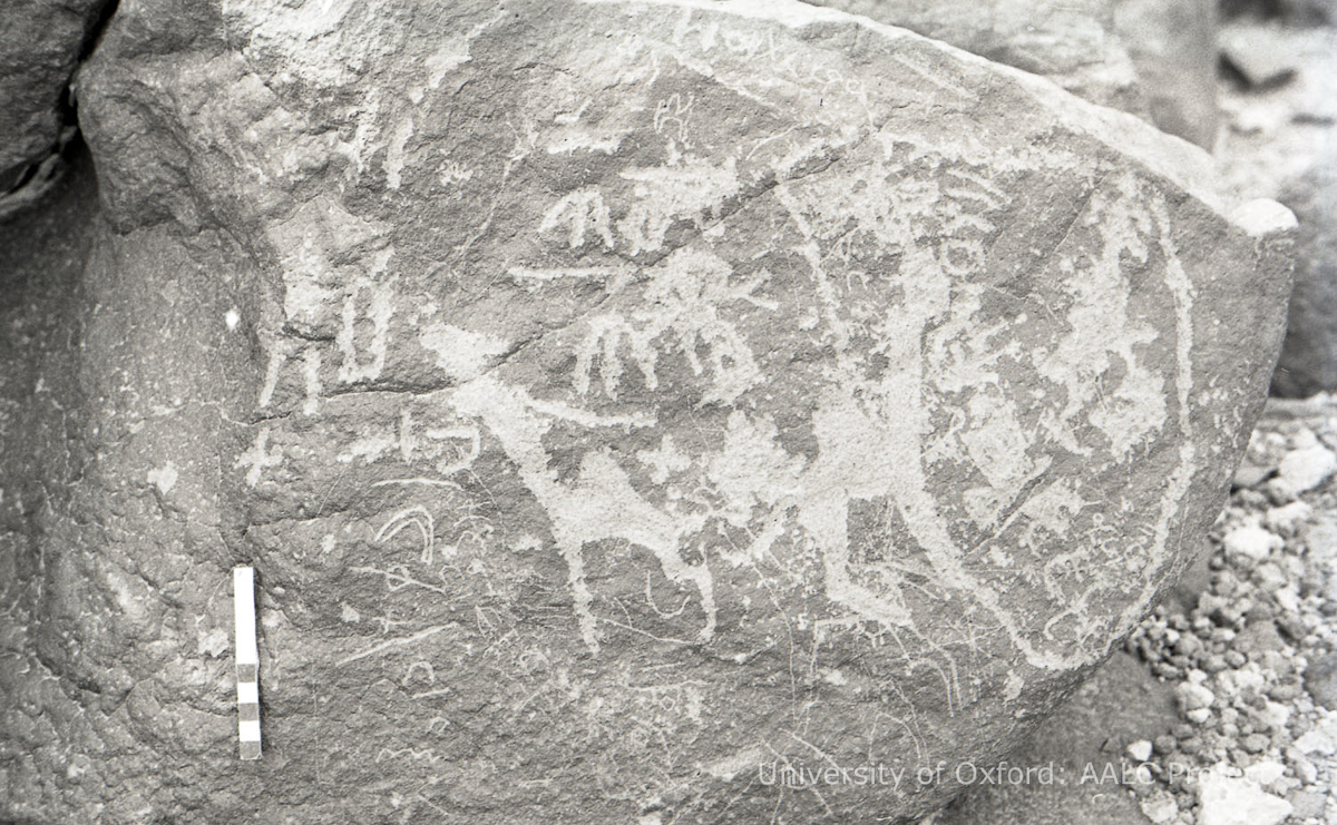 inscription of siglum KRS 2638