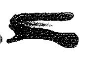 inscription of siglum KRS 2659