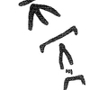 inscription of siglum KRS 2691