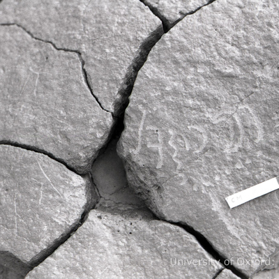 inscription of siglum KRS 2693