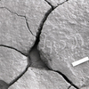 inscription of siglum KRS 2693