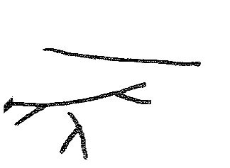 inscription of siglum KRS 2780
