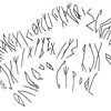 inscription of siglum KRS 2870