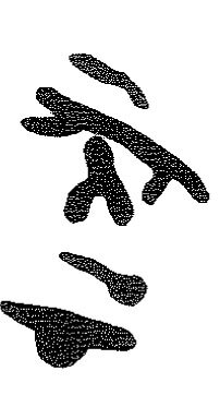 inscription of siglum KRS 2895