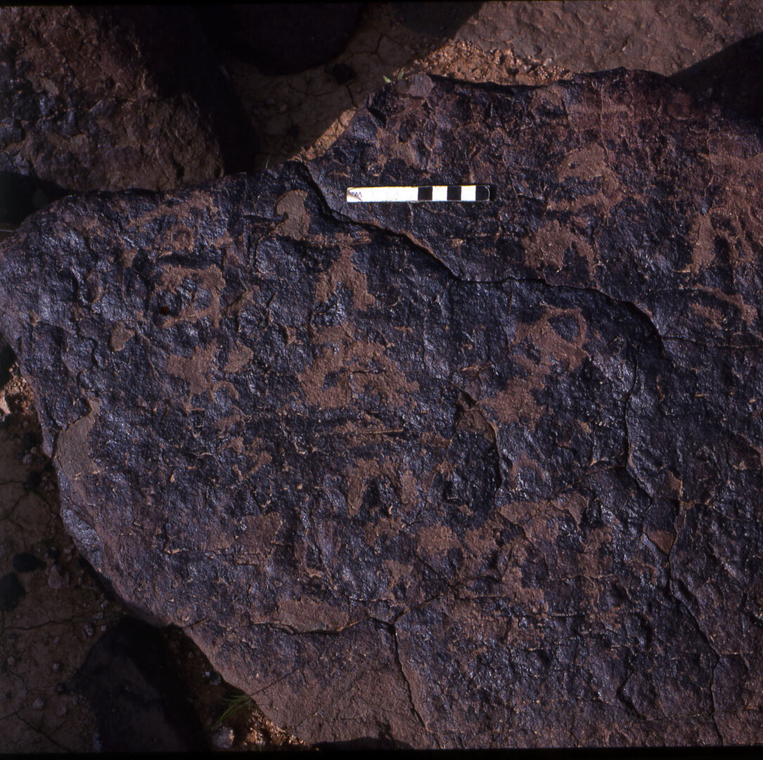 inscription of siglum KRS 2895