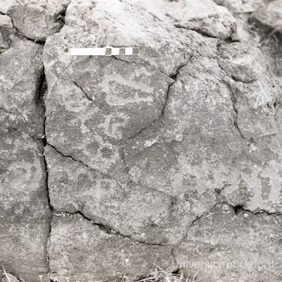 inscription of siglum KRS 2900.1