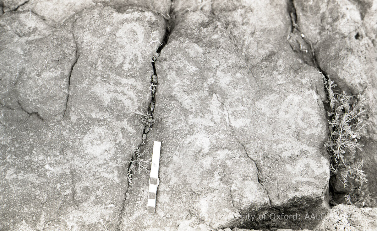 inscription of siglum KRS 2902