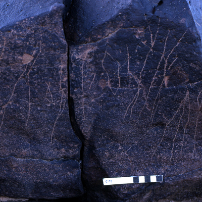 inscription of siglum KRS 2931