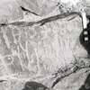 inscription of siglum KRS 2940